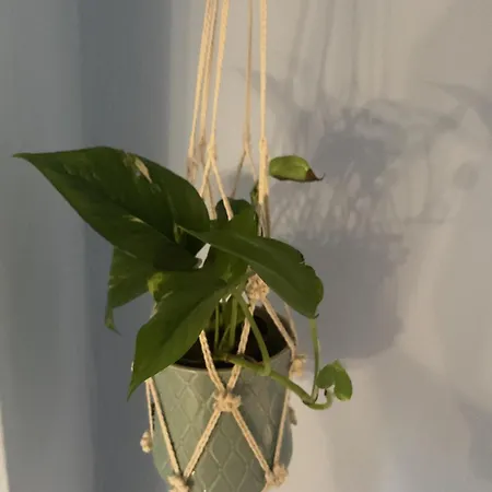 Lejlighed Rosemary Nea Kallikrateia