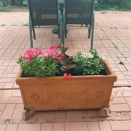 Rosemary Apartament *